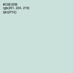 #C9E0DB - Skeptic Color Image