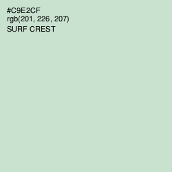 #C9E2CF - Surf Crest Color Image