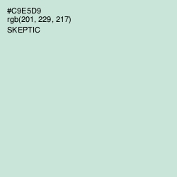 #C9E5D9 - Skeptic Color Image