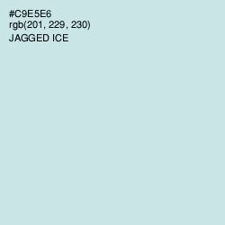 #C9E5E6 - Jagged Ice Color Image