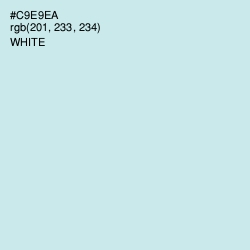 #C9E9EA - Jagged Ice Color Image