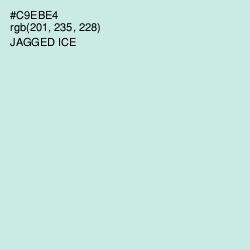 #C9EBE4 - Jagged Ice Color Image