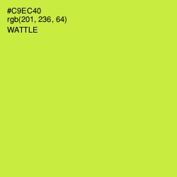 #C9EC40 - Wattle Color Image