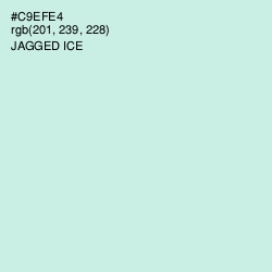 #C9EFE4 - Jagged Ice Color Image