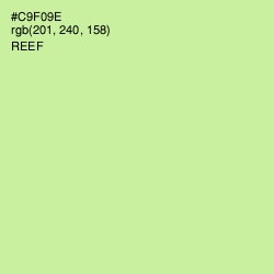 #C9F09E - Reef Color Image