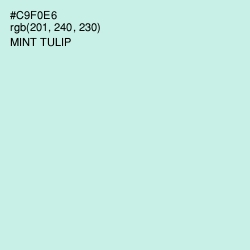 #C9F0E6 - Mint Tulip Color Image