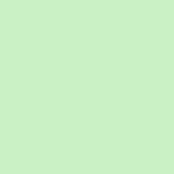 #C9F1C5 - Tea Green Color Image