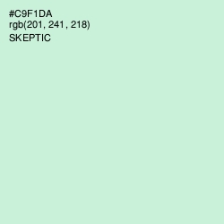 #C9F1DA - Skeptic Color Image