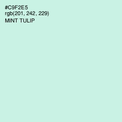 #C9F2E5 - Mint Tulip Color Image