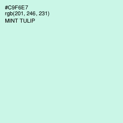 #C9F6E7 - Mint Tulip Color Image