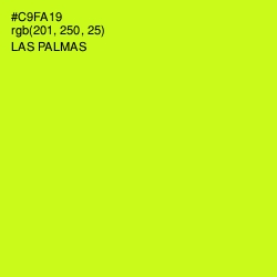 #C9FA19 - Las Palmas Color Image