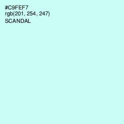 #C9FEF7 - Scandal Color Image