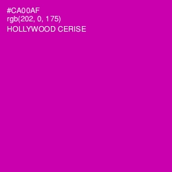 #CA00AF - Hollywood Cerise Color Image