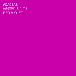 #CA01AB - Red Violet Color Image