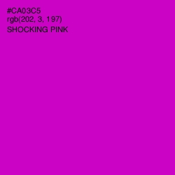 #CA03C5 - Shocking Pink Color Image