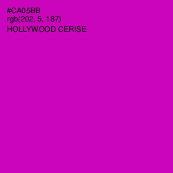 #CA05BB - Hollywood Cerise Color Image