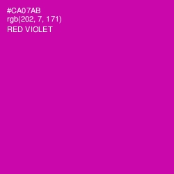 #CA07AB - Red Violet Color Image
