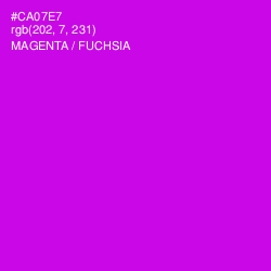 #CA07E7 - Magenta / Fuchsia Color Image