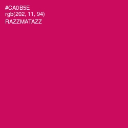 #CA0B5E - Razzmatazz Color Image