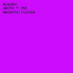 #CA0BFC - Magenta / Fuchsia Color Image