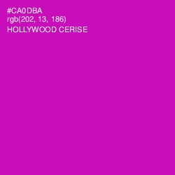 #CA0DBA - Hollywood Cerise Color Image