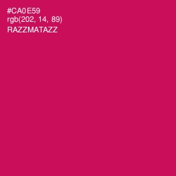 #CA0E59 - Razzmatazz Color Image