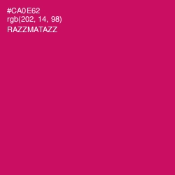 #CA0E62 - Razzmatazz Color Image