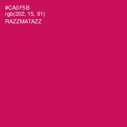 #CA0F5B - Razzmatazz Color Image