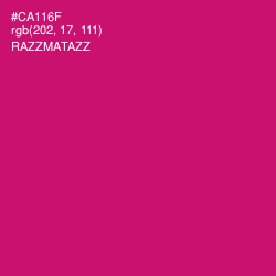 #CA116F - Razzmatazz Color Image