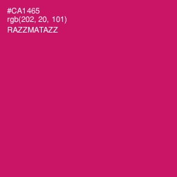 #CA1465 - Razzmatazz Color Image