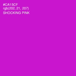 #CA15CF - Shocking Pink Color Image