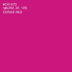 #CA167D - Cerise Red Color Image