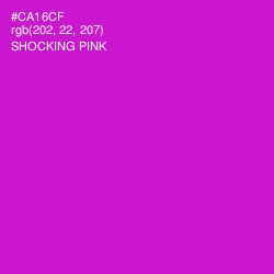 #CA16CF - Shocking Pink Color Image