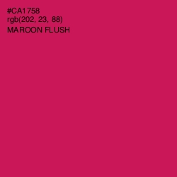 #CA1758 - Maroon Flush Color Image