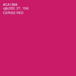 #CA1B68 - Cerise Red Color Image