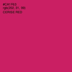 #CA1F63 - Cerise Red Color Image