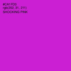 #CA1FD3 - Shocking Pink Color Image