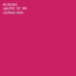 #CA2063 - Cerise Red Color Image