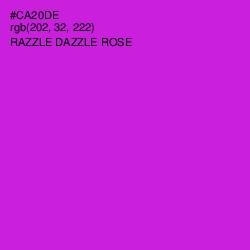 #CA20DE - Razzle Dazzle Rose Color Image