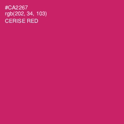 #CA2267 - Cerise Red Color Image