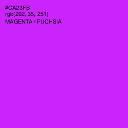 #CA23FB - Magenta / Fuchsia Color Image