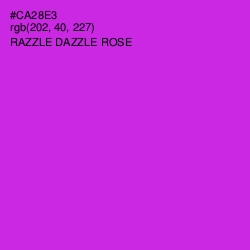 #CA28E3 - Razzle Dazzle Rose Color Image