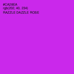 #CA28EA - Razzle Dazzle Rose Color Image