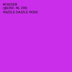 #CA2EEB - Razzle Dazzle Rose Color Image