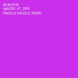 #CA2FEB - Razzle Dazzle Rose Color Image