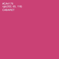 #CA4176 - Cabaret Color Image