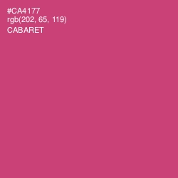 #CA4177 - Cabaret Color Image