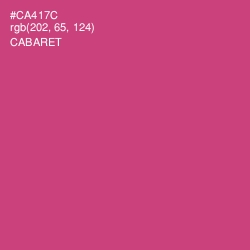 #CA417C - Cabaret Color Image