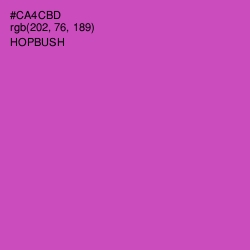 #CA4CBD - Hopbush Color Image