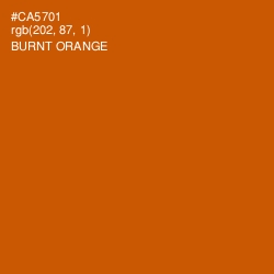 #CA5701 - Burnt Orange Color Image